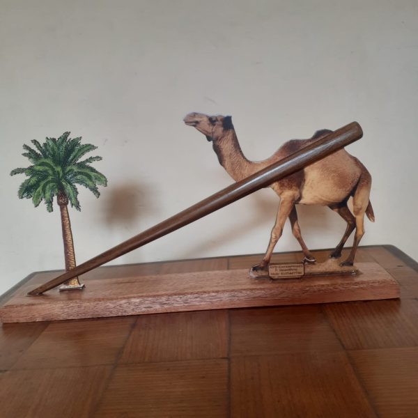 Decorative camel art piece